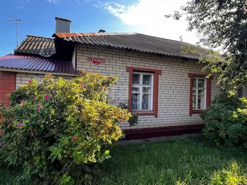 2-к кв. Тамбовская область, Тамбов ул. имени Юрия Гагарина, 49 (34.5 ... - Фото 1