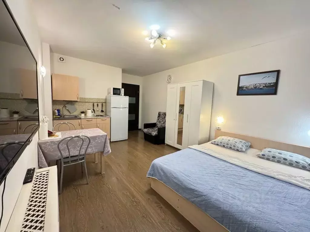 Студия Санкт-Петербург просп. Энергетиков, 11к5 (27.0 м) - Фото 0