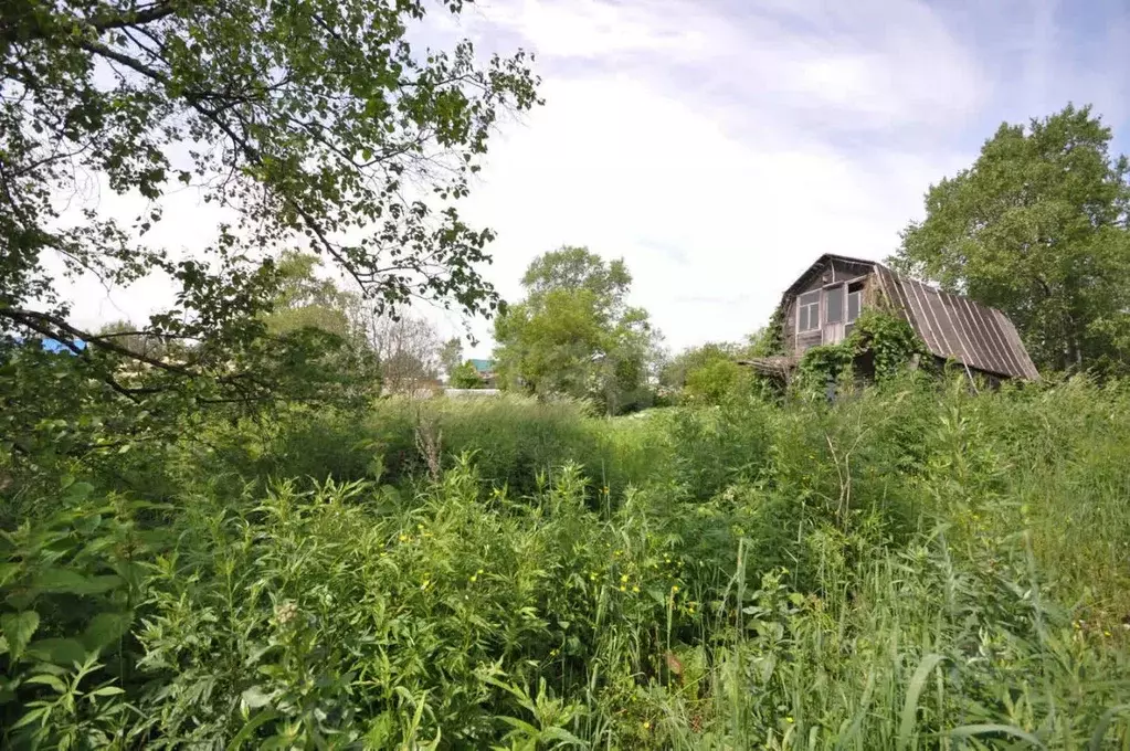 Участок в Сахалинская область, Южно-Сахалинск Овощевод СНТ,  (9.17 ... - Фото 1