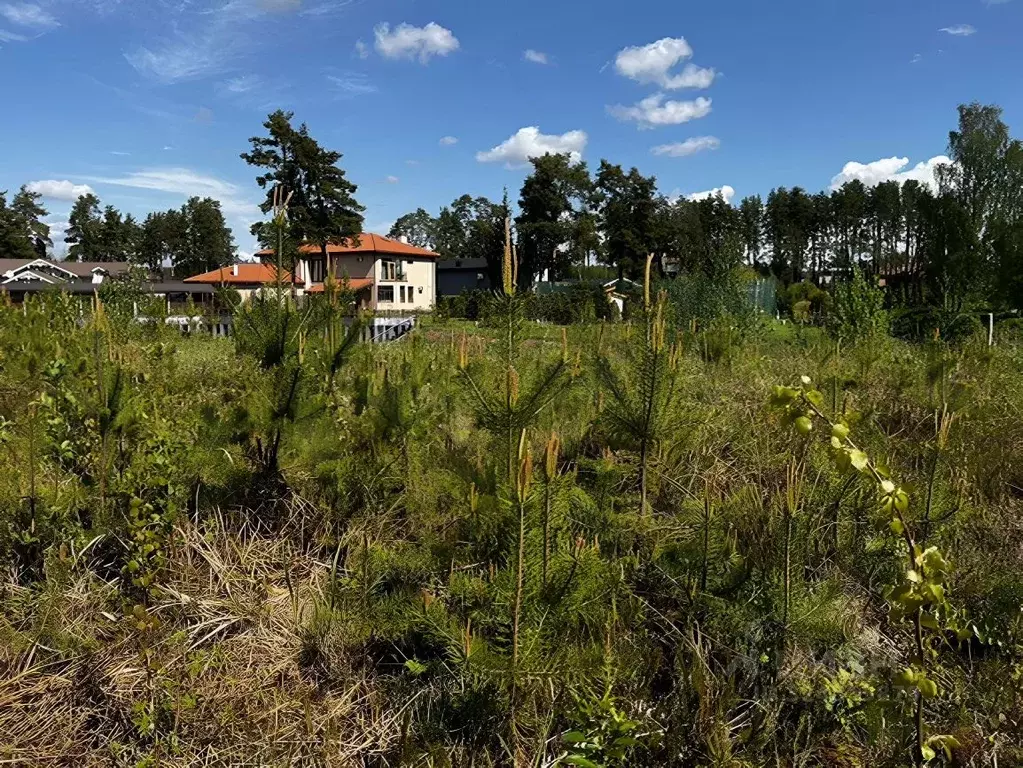 Участок в Санкт-Петербург пос. Репино, Большой просп. (39.0 сот.) - Фото 1