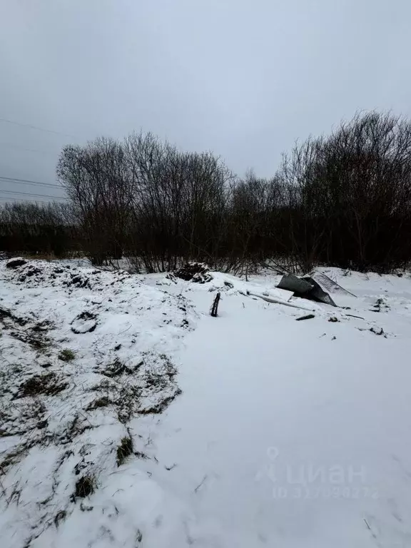Участок в Московская область, Талдомский городской округ, с. Квашенки ... - Фото 0