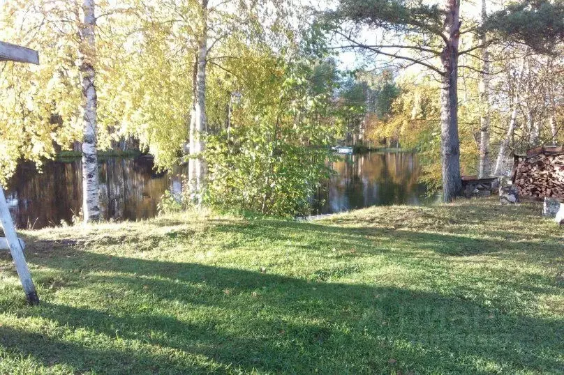 Дом в Карелия, Пряжинский район, Эссойльское с/пос, пос. Сяпся  (48 м) - Фото 2