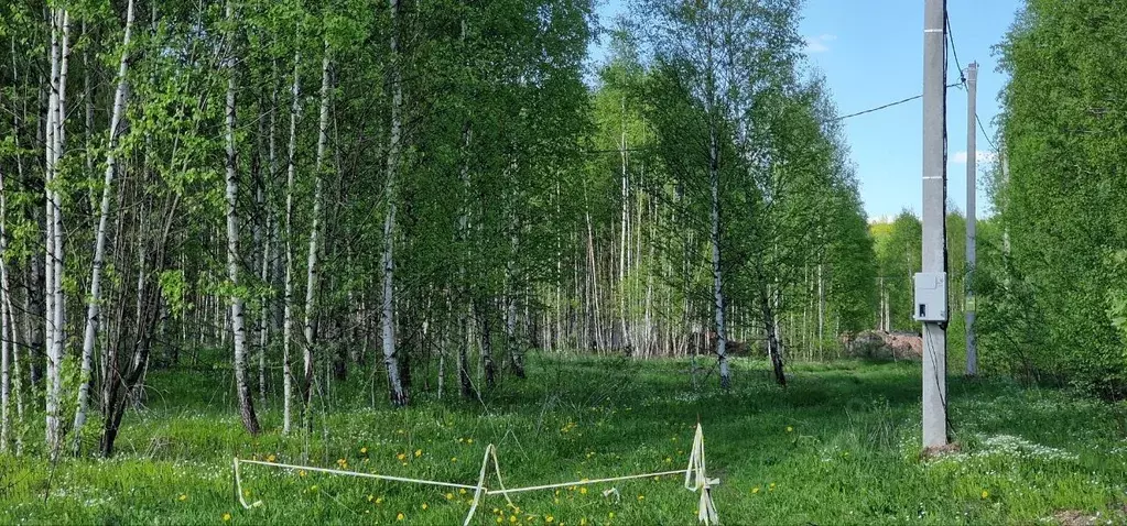 Участок в Татарстан, Лаишевский район, с. Сокуры, Новые Сокуры - 2 кп ... - Фото 1