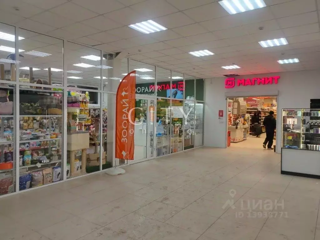 Торговая площадь в Тюменская область, Тюмень ул. Николая Чаплина, 43 ... - Фото 1