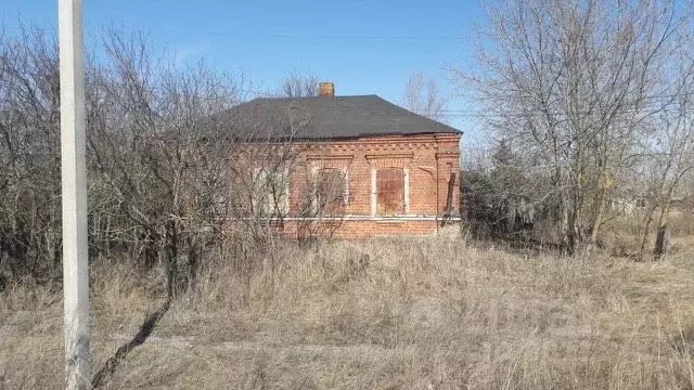Дом в Рязанская область, Шиловский район, Борковское с/пос, с. Свинчус ... - Фото 1