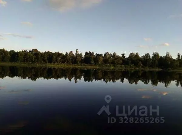 Дом в Вологодская область, Сокольский муниципальный округ, д. Вачево  ... - Фото 2