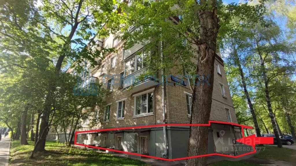 Помещение свободного назначения в Москва ул. Москворечье, 35К1 (217 м) - Фото 0