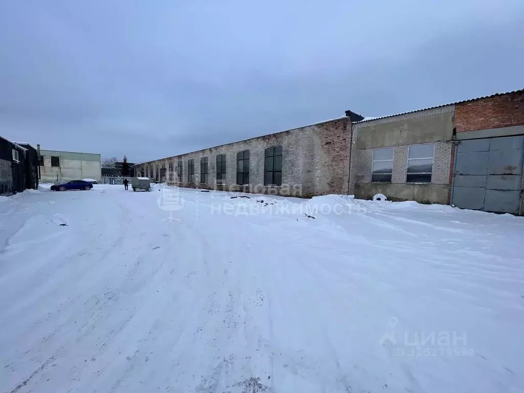 Склад в Новгородская область, Новгородский район, Панковское городское ... - Фото 2