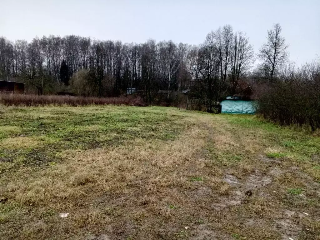 Участок в Калужская область, Боровский муниципальный округ, Ворсино ... - Фото 2