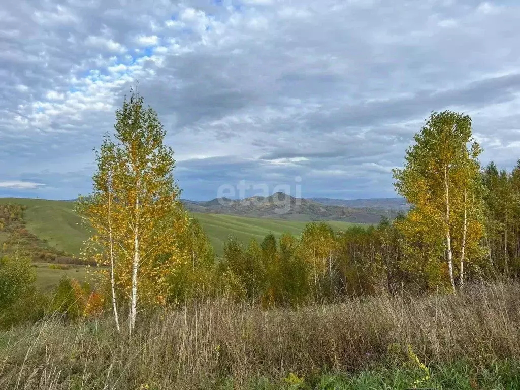 Участок в Алтай, Горно-Алтайск ул. Газпрома (250.0 сот.) - Фото 1