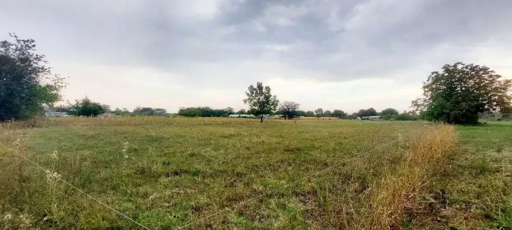 Участок в Краснодарский край, Северский район, Львовское с/пос, с. ... - Фото 2