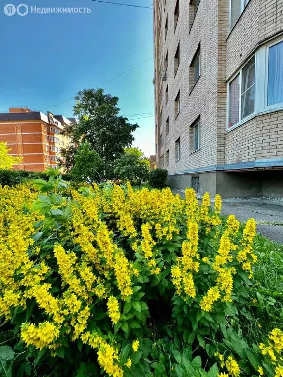 3-комнатная квартира: Красногорск, Благовещенская улица, 12 (85 м) - Фото 2