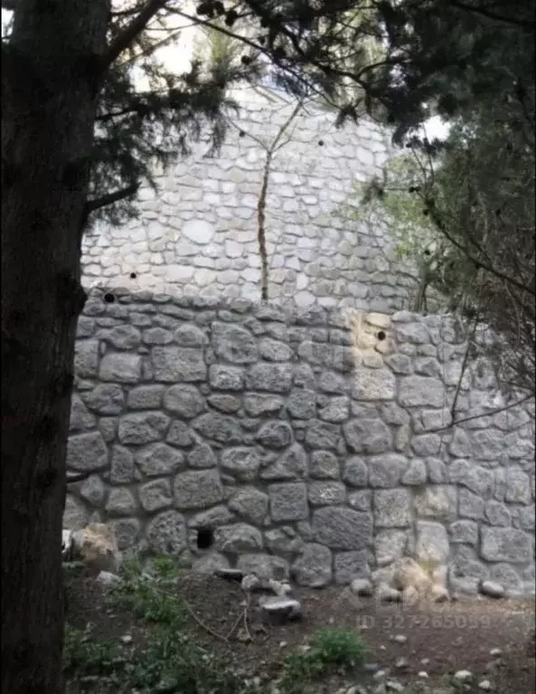 Участок в Крым, Ялта  (7.0 сот.) - Фото 2