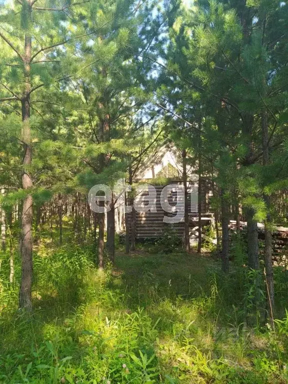 Участок в Красноярский край, Емельяново городское поселение, д. Сухая  ... - Фото 0