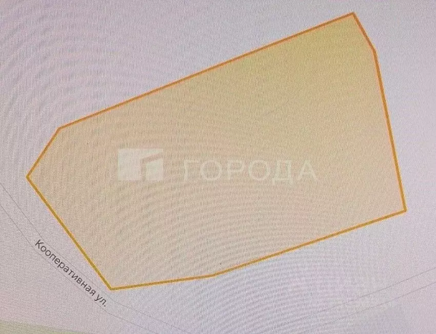 Участок в Алтайский край, Первомайский район, с. Боровиха ... - Фото 2