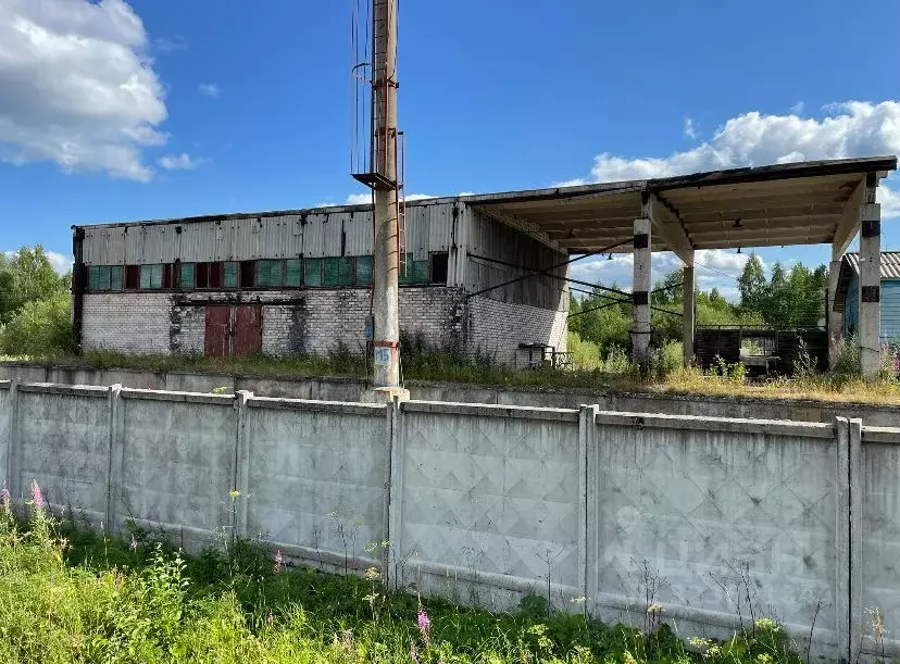 Склад в Архангельская область, Пинежский муниципальный округ, пос. ... - Фото 1