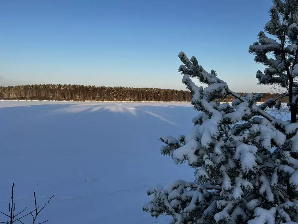 Участок в Ленинградская область, Лодейное поле  (22.0 сот.) - Фото 1