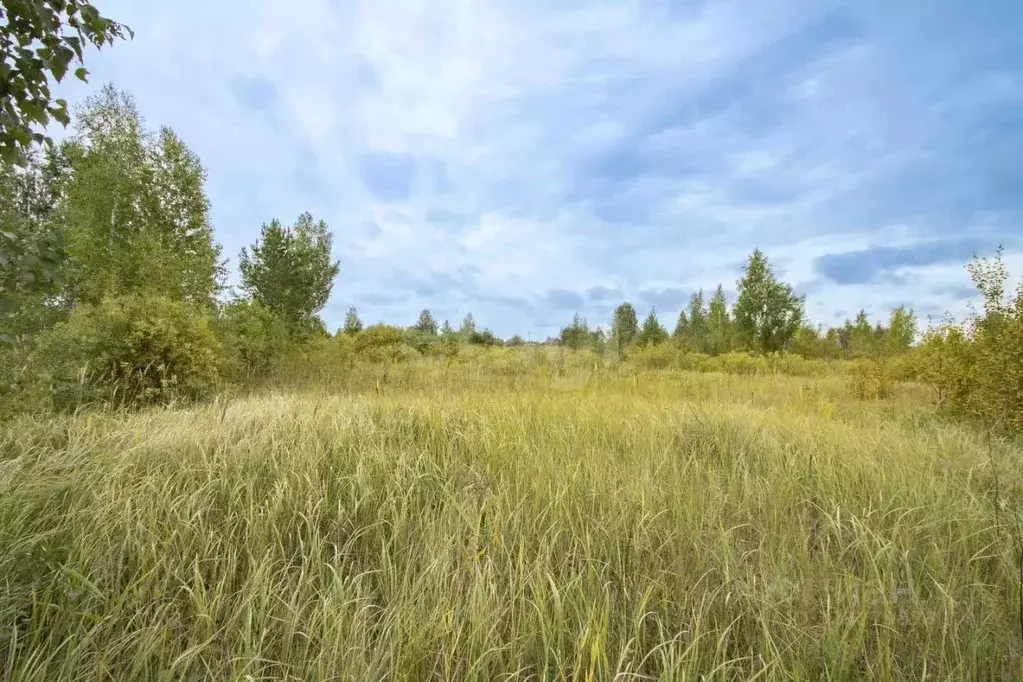 Участок в Тюменская область, Тюмень Надежда (ВОИ) садовое ... - Фото 1