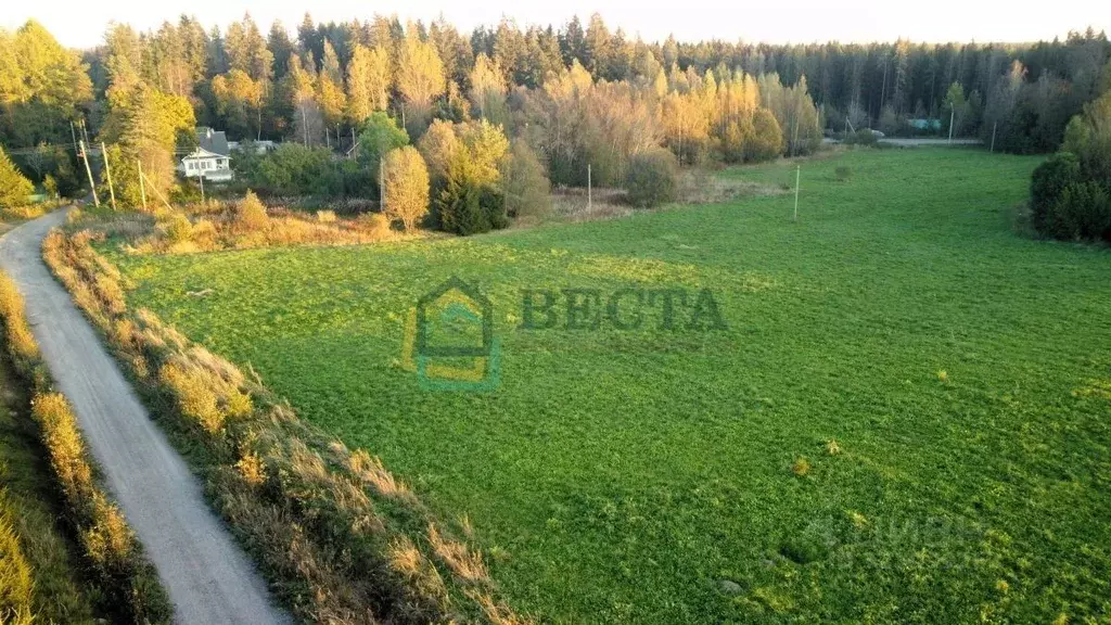 Участок в Ленинградская область, Выборгский район, Полянское с/пос, ... - Фото 1