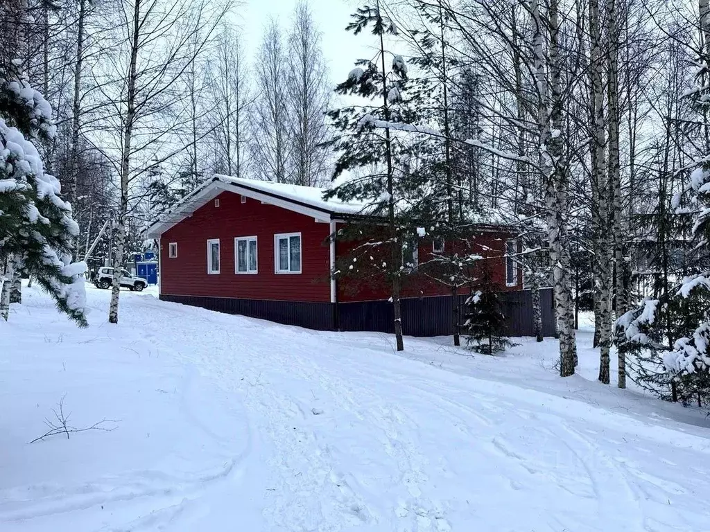 Дом в Новгородская область, Любытинское с/пос, д. Бор 129 (195 м) - Фото 2