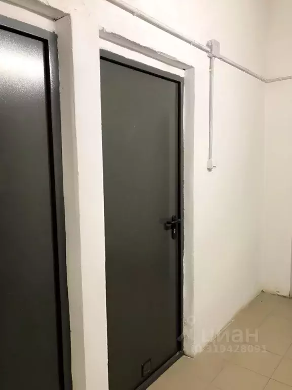 Помещение свободного назначения в Москва Производственная ул., 10к1 ... - Фото 0