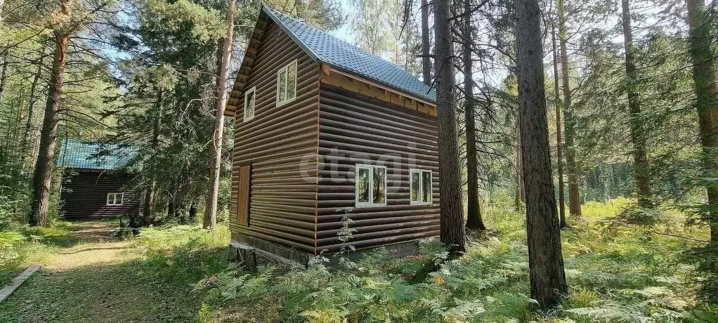 Дом в Свердловская область, Дегтярск ул. Виноградная, 9 (51 м) - Фото 1