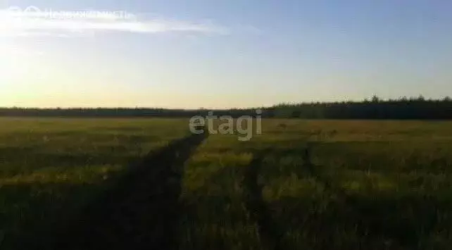 Участок в Республика Саха (Якутия), городской округ Якутск, село ... - Фото 1