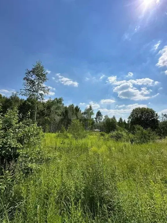 Участок в Тульская область, Тула городской округ, с. Частое  (10.0 ... - Фото 1