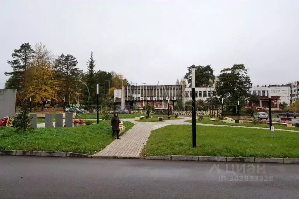 2-к кв. Ленинградская область, Лужский район, д. Ретюнь ул. ... - Фото 2