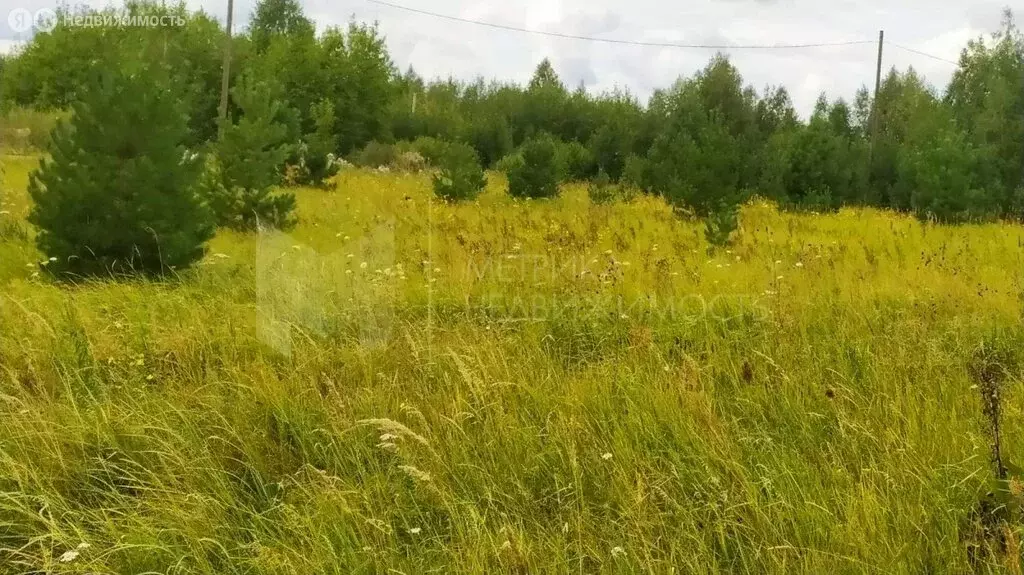 Участок в посёлок Андреевский, Северная улица (14 м) - Фото 1