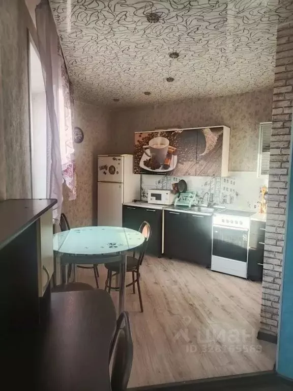 Студия Забайкальский край, Чита ул. Курнатовского, 70 (38.8 м) - Фото 1