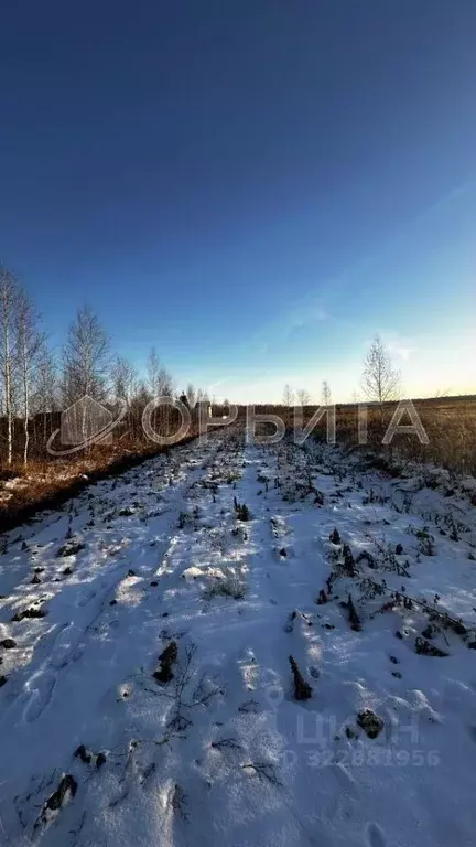 Участок в Тюменская область, Тюменский муниципальный округ, Москвичка ... - Фото 1