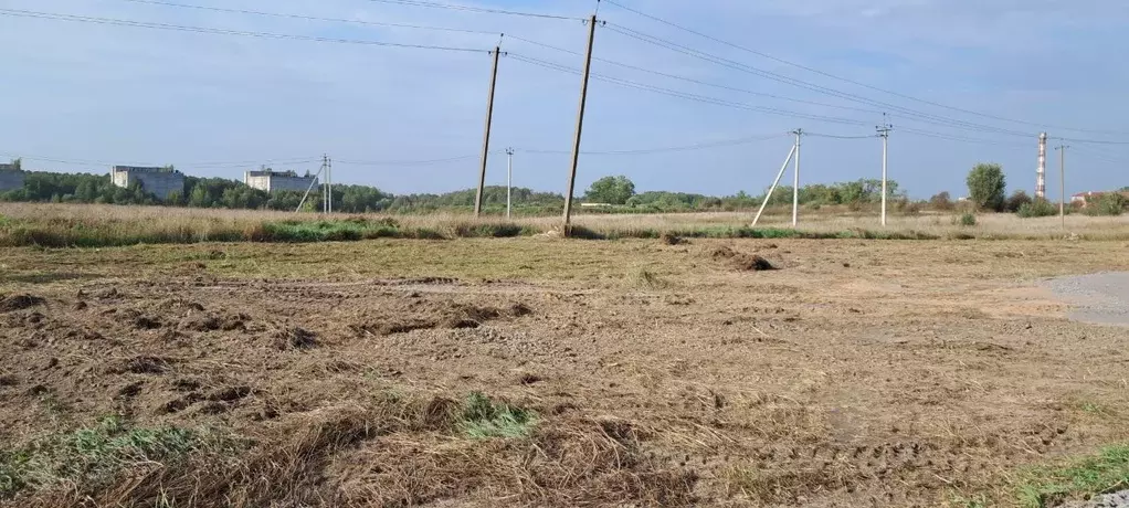 Участок в Ленинградская область, Ломоносовский район, Русско-Высоцкое ... - Фото 1