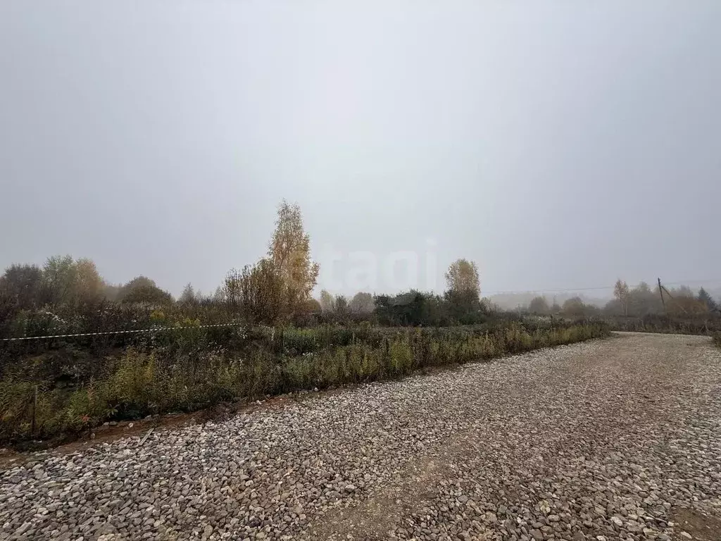 Участок в Костромская область, Кострома ул. Николая Тараканова, 9 ... - Фото 1