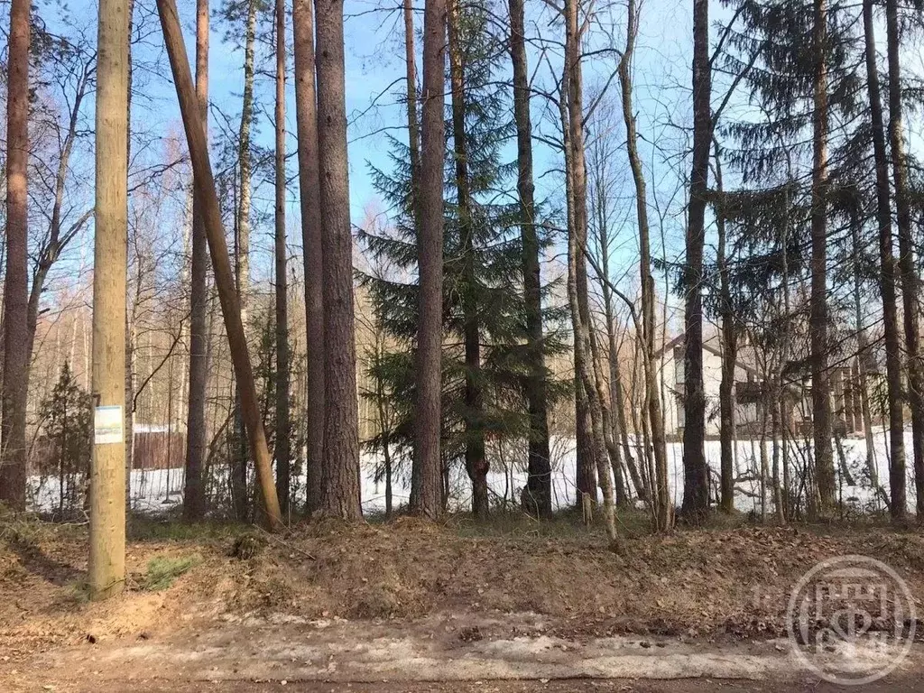 Участок в Ленинградская область, Выборгский район, Рощинское городское ... - Фото 0