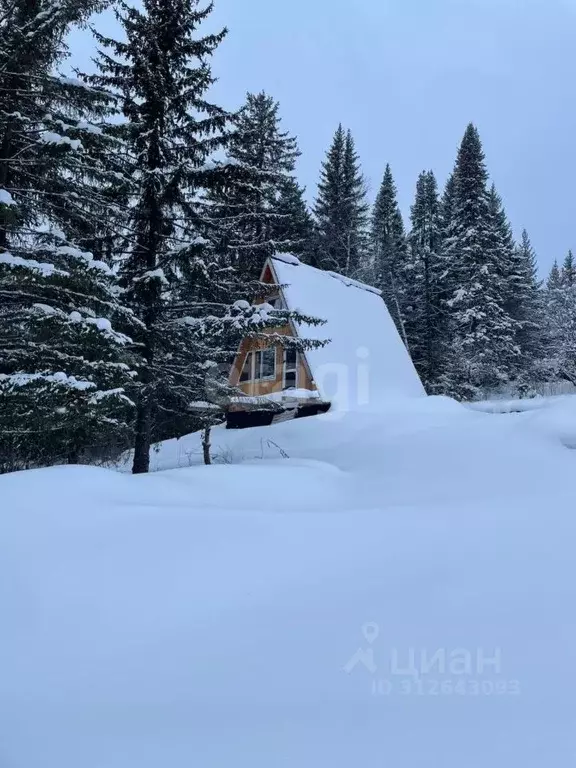 Участок в Свердловская область, Нижний Тагил городской округ, пос. ... - Фото 0