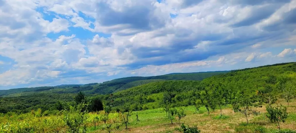 Участок в Краснодарский край, Северский район, Ильское городское ... - Фото 1