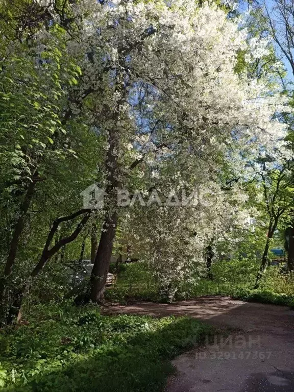 2-к кв. Московская область, Коломна ул. Чкалова, 7 (50.7 м) - Фото 2