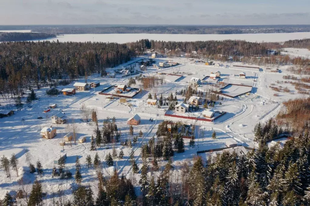 Участок в Ленинградская область, Выборгский район, Приморское ... - Фото 1