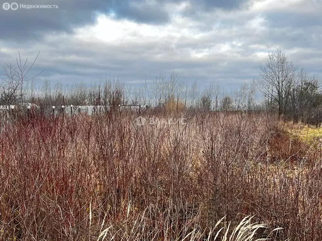Участок в Суздальский район, муниципальное образование Павловское, ... - Фото 2