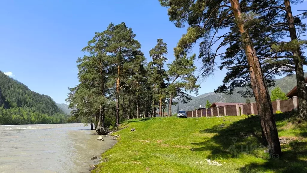 Дом в Алтай, Чемальский район, с. Чепош Родниковая ул., 14 (60 м) - Фото 2