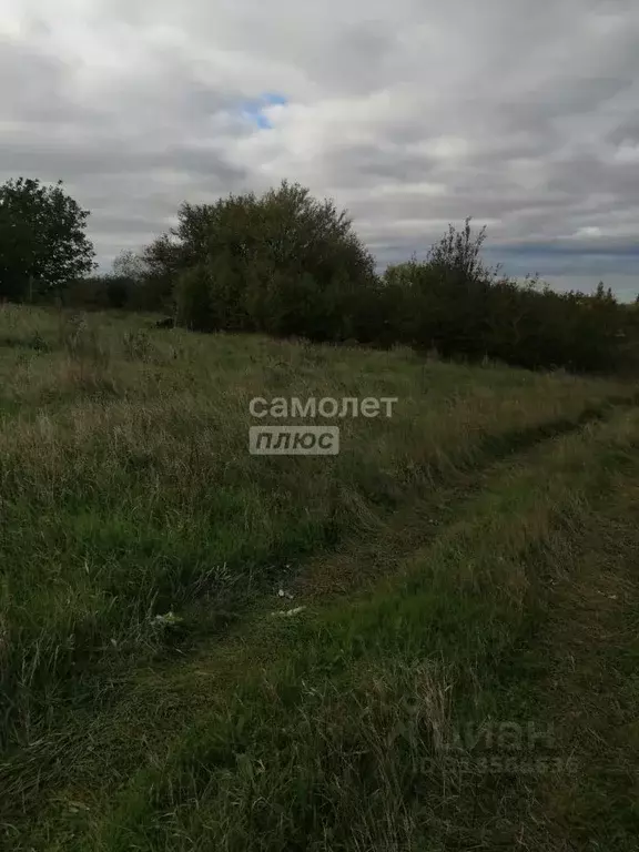 Участок в Крым, Ленинский район, Семисотское с/пос, с. Каменское  (6.0 ... - Фото 0