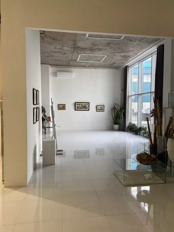 Помещение свободного назначения в Краснодарский край, Анапа ул. ... - Фото 2