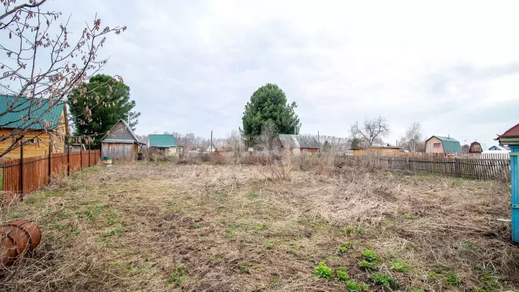 Участок в Томская область, Томский район, Заря садовое товарищество  ... - Фото 1