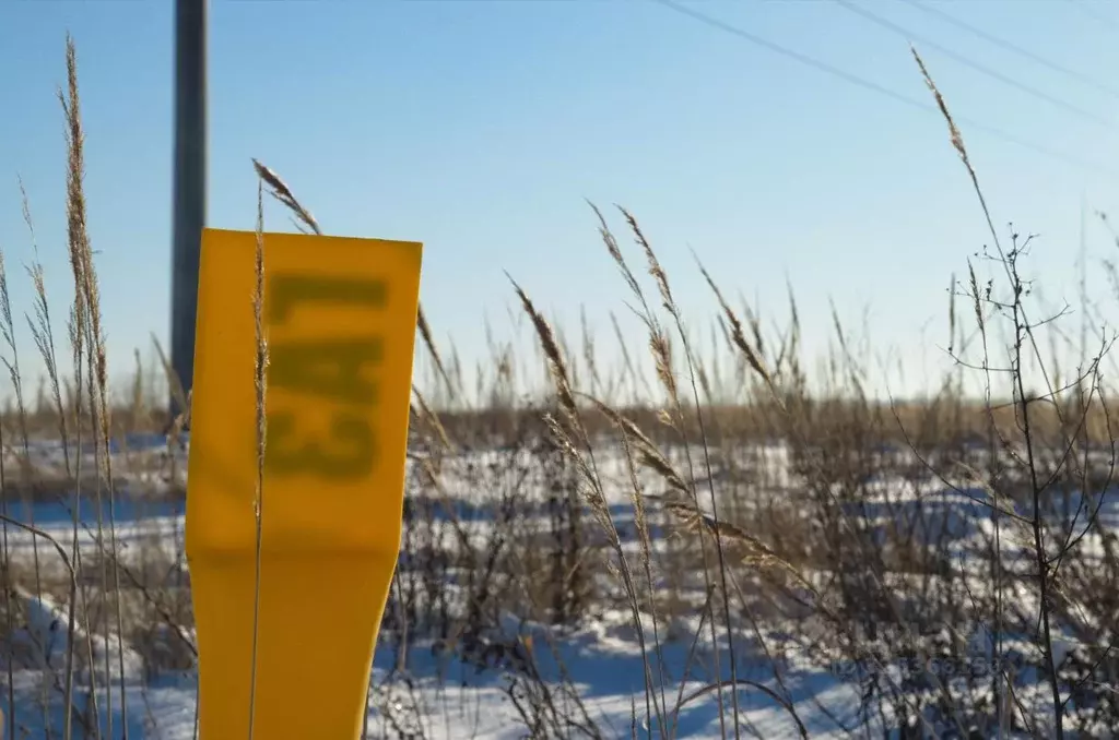 Участок в Пензенская область, с. Бессоновка ул. Озерная (6.38 сот.) - Фото 1