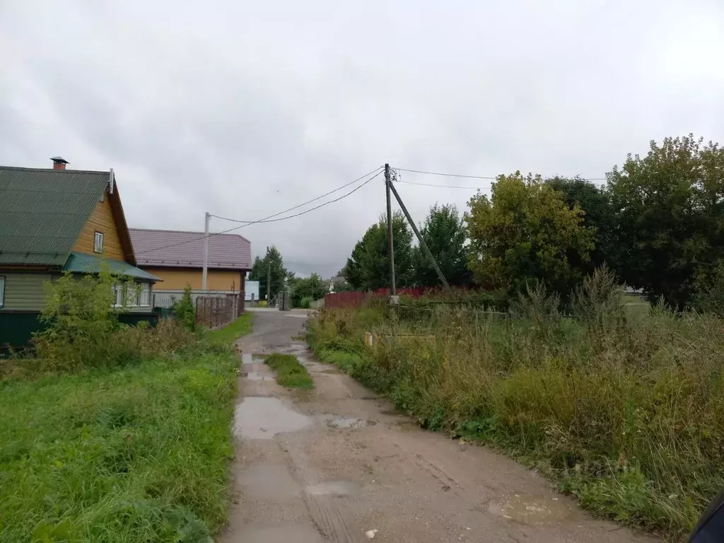 Участок в Вологодская область, Шекснинский муниципальный округ, д. ... - Фото 2