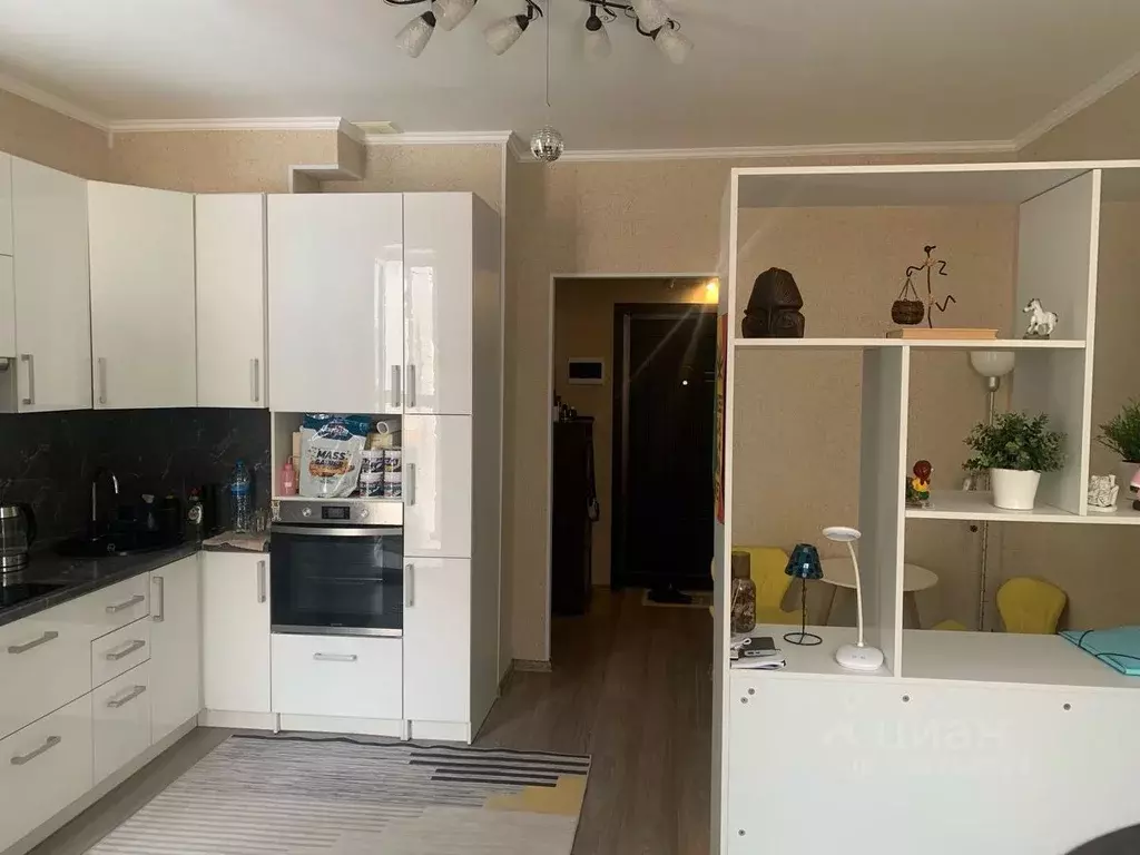 Студия Московская область, Люберцы городской округ, д. Мотяково 66к20 ... - Фото 2