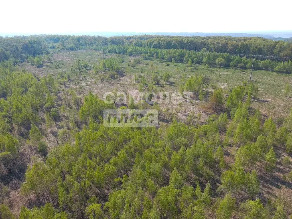 Участок в Хабаровский край, Хабаровский район, с. Некрасовка ул. Мира, ... - Фото 1