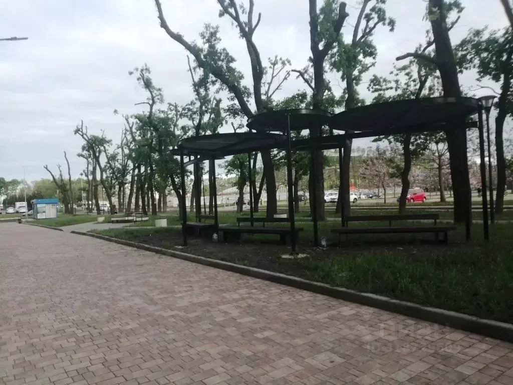 Студия Краснодарский край, Краснодар ул. Героя Владислава Посадского, ... - Фото 0