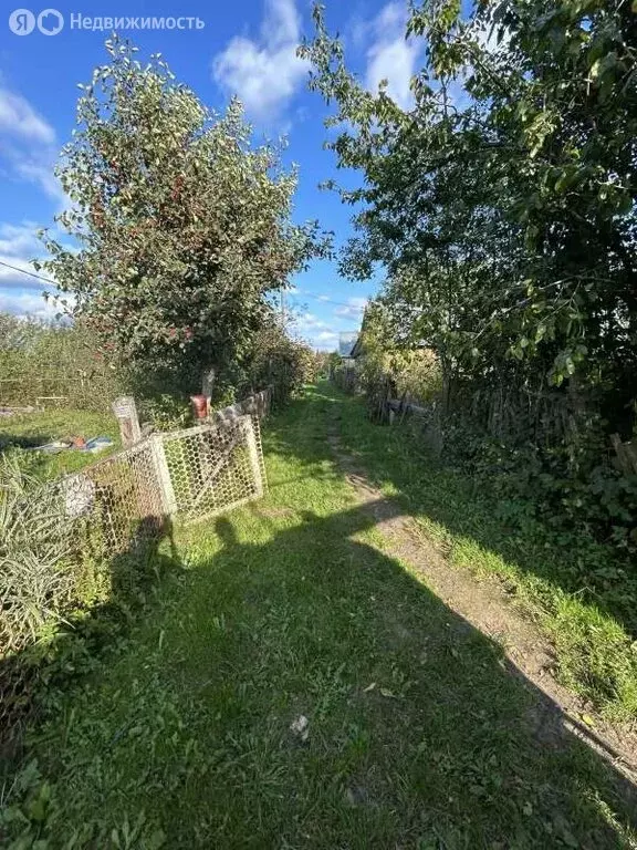 Дом в Зеленодольск, микрорайон Гари (30 м) - Фото 2